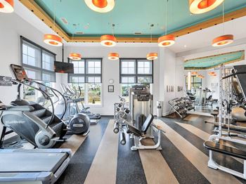 Gym and spin studio